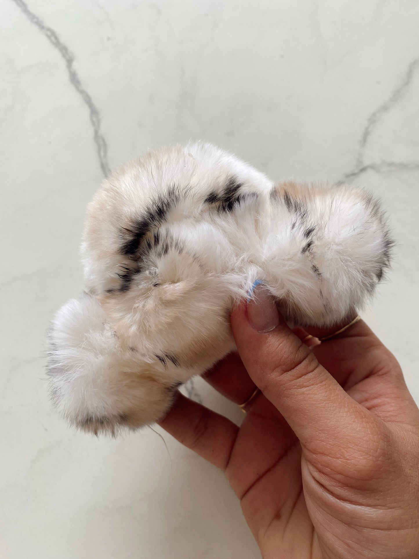Pinza hamster