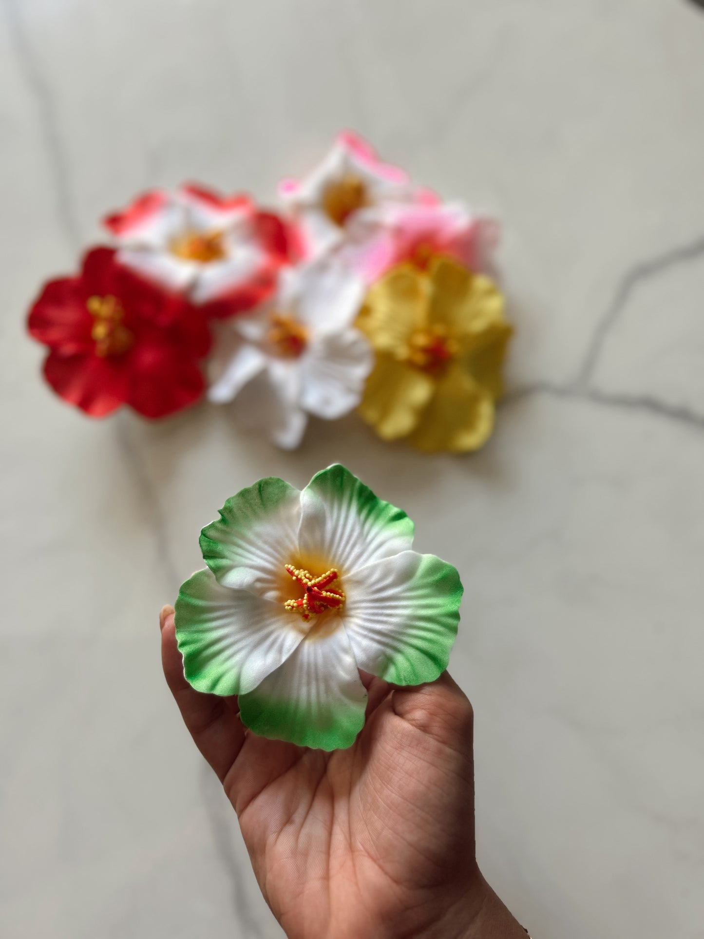 Pinza hawaiana ✨