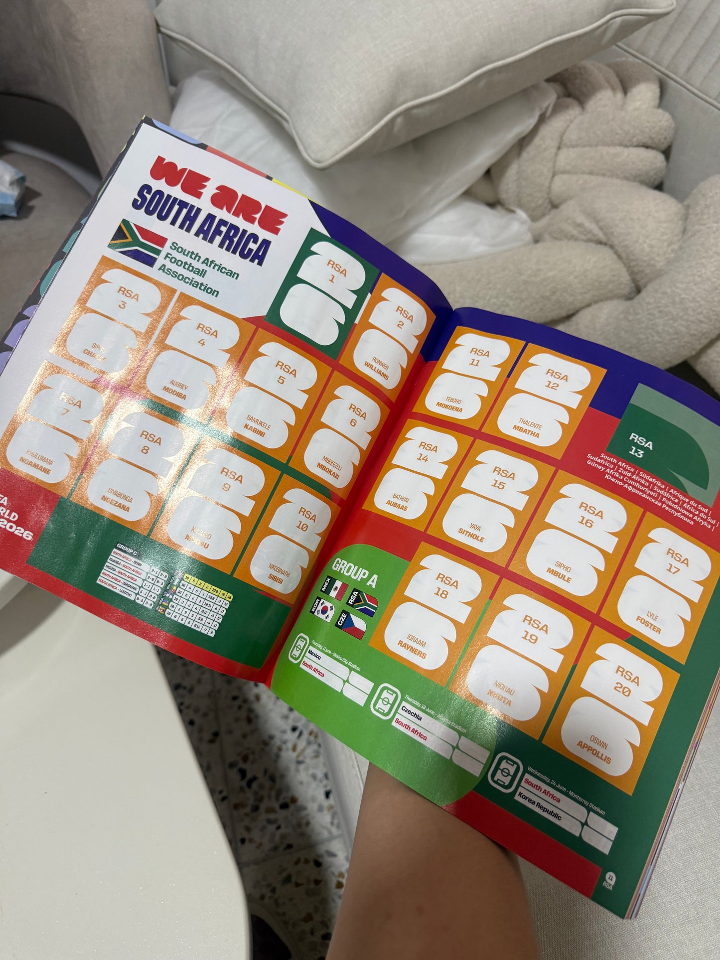 Álbum panini